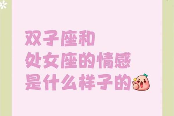 双子座男与处女座女(双子座男与处女座女能白头偕老吗)