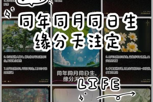 特别的缘分_特别的缘分遇见你是我最美的意外 特别的缘分_特别的缘分遇见你是我最美的意外