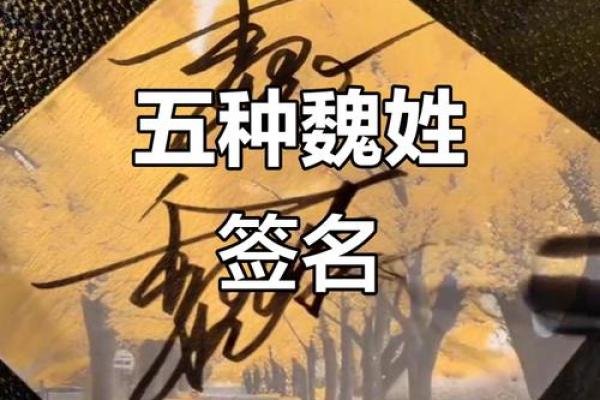 魏姓男孩名字大全-魏姓男孩起名字大全-魏姓名字大全姓名 魏姓男孩名字大全-魏姓男孩起名字大全-魏姓名字大全姓名