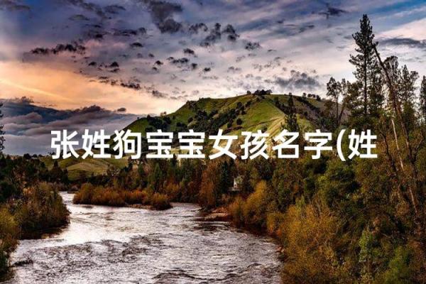 早上出生的属狗男孩怎么取名 ,宜用什么字姓名 早上出生的属狗男孩怎么取名 ,宜用什么字姓名