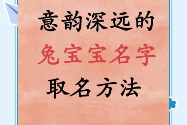晚上出生属兔的男孩应该怎么样取名字呢?姓名 晚上出生属兔的男孩应该怎么样取名字呢?姓名