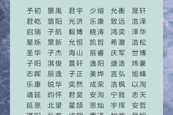 2019年3月31号辛时出生的男孩要怎么起名字姓名