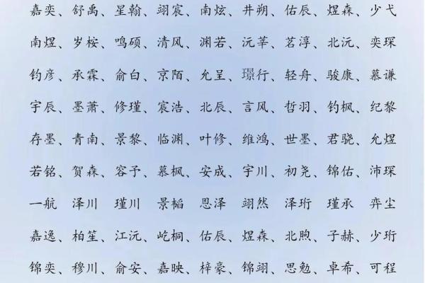 2019年3月31号辛时出生的男孩要怎么起名字姓名