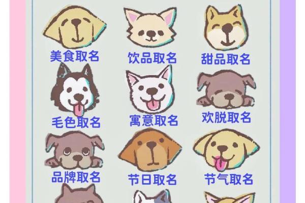 宠物用品店名字-姓名学-华易算命网姓名 宠物用品店名字-姓名学-华易算命网姓名