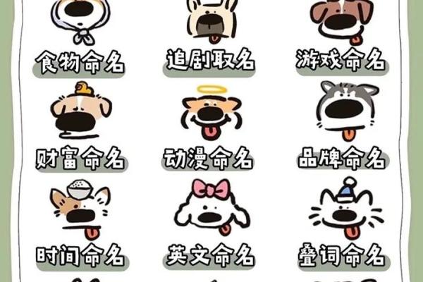 宠物用品店名字-姓名学-华易算命网姓名 宠物用品店名字-姓名学-华易算命网姓名