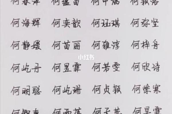 何姓男孩名字大全-何姓男孩起名字大全-何姓名字大全姓名