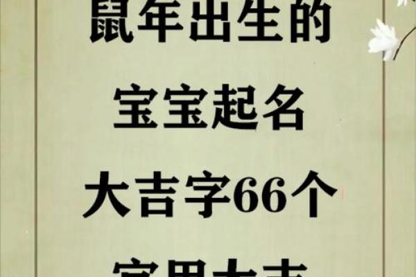 中午出生的属鼠男孩应该如何取名姓名 中午出生的属鼠男孩应该如何取名姓名