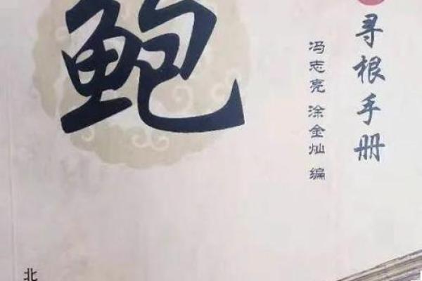 鲍姓女孩名字大全-鲍姓女孩起名字大全-鲍姓名字大全姓名 鲍姓女孩名字大全-鲍姓女孩起名字大全-鲍姓名字大全姓名