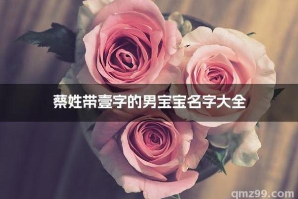 蔡姓女孩名字大全-蔡姓女孩起名字大全-蔡姓名字大全姓名 蔡姓女孩名字大全-蔡姓女孩起名字大全-蔡姓名字大全姓名