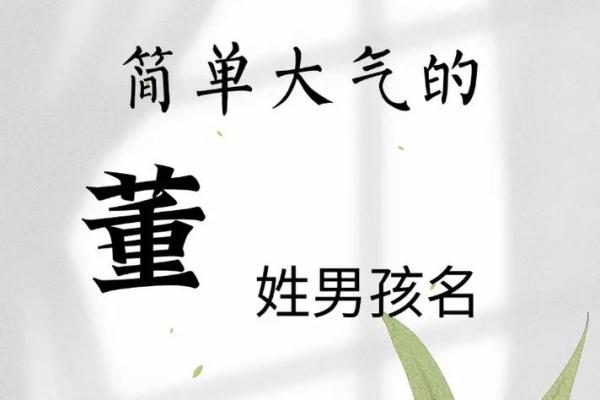 董姓女孩名字大全-董姓女孩起名字大全-董姓名字大全姓名 董姓女孩名字大全-董姓女孩起名字大全-董姓名字大全姓名