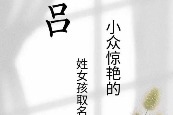 吕姓女孩名字大全-吕姓女孩起名字大全-吕姓名字大全姓名 吕姓女孩名字大全-吕姓女孩起名字大全-吕姓名字大全姓名
