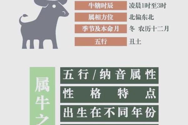 凌晨2点出生的属牛男孩应该用什么字取名字好姓名 凌晨2点出生的属牛男孩应该用什么字取名字好姓名