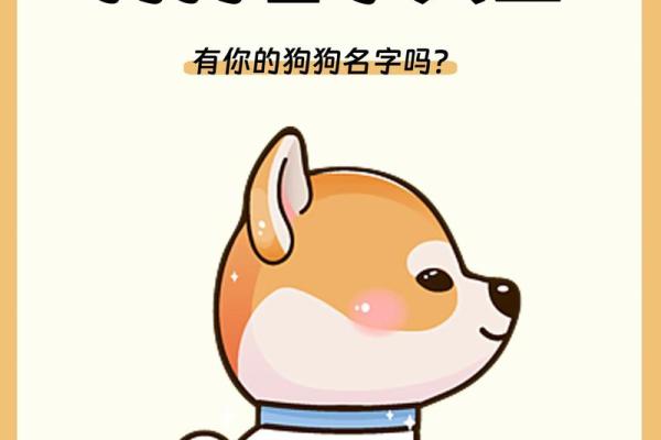下午五点出生的属狗男孩取什么名，适合什么字姓名