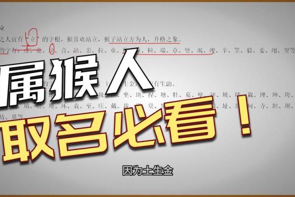 下午两点出生的属猴男孩怎么名，用什么字姓名