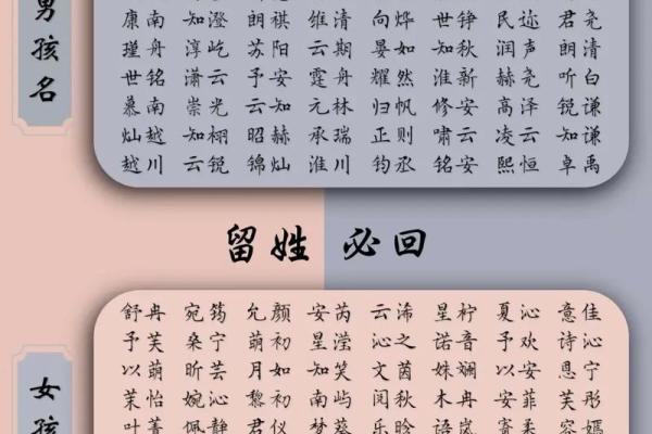 2019年3月23号酉时出生的男孩如何起名姓名