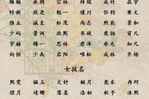 2019年3月23号子时出生的男孩要怎么起名字姓名