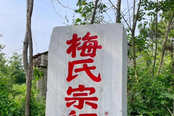 梅姓女孩名字大全-梅姓女孩起名字大全-梅姓名字大全姓名