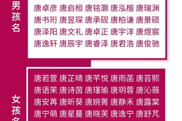 唐姓男孩名字大全-唐姓男孩起名字大全-唐姓名字大全姓名