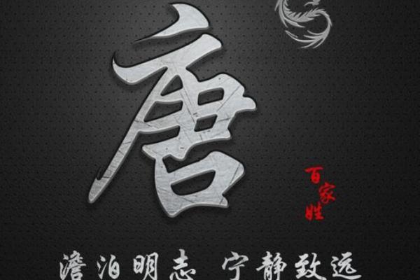 唐姓男孩名字大全-唐姓男孩起名字大全-唐姓名字大全姓名