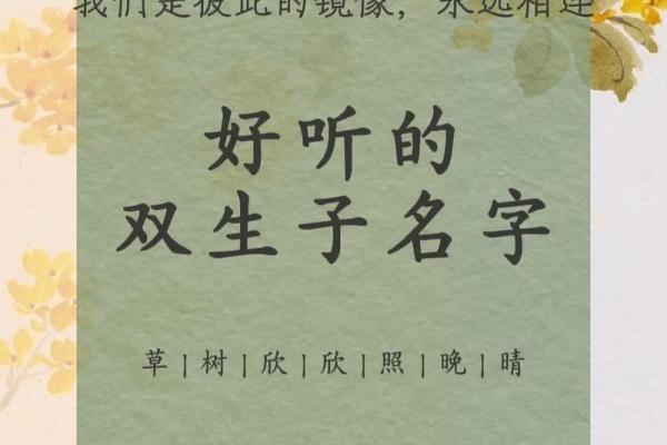 双胞胎取名用词语联贯和对偶联贯的方法-姓名学-华易网姓名