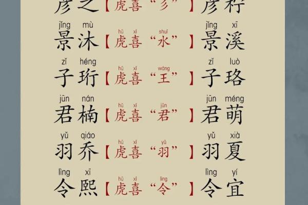 晚上9点出生的属虎男孩如何起名，宜用什么字姓名