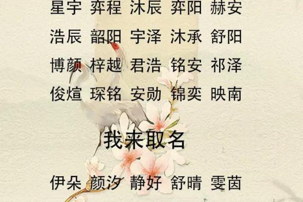 3月份出生的属鸡男孩起什么名字好姓名