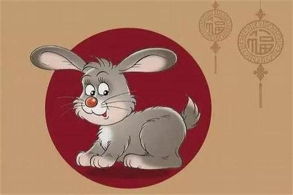 申时出生的属兔男孩适合取什么样的名字姓名