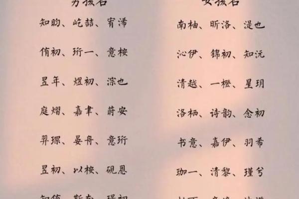 2019年3月29号亥时出生的男孩起名时要注意什么姓名