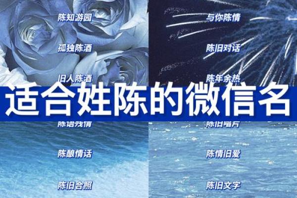 陈姓男孩名字大全-陈姓男孩起名字大全-陈姓名字大全姓名 陈姓男孩名字大全-陈姓男孩起名字大全-陈姓名字大全姓名