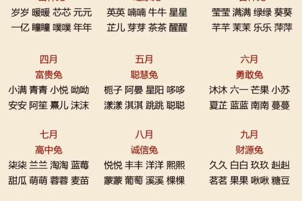 早上8点出生的属兔男孩如何取名姓名
