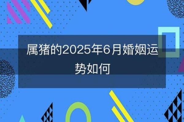 属猪辛时出生的男孩如何起名，宜用什么字姓名