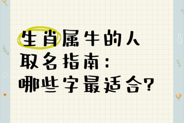 晚上1点出生的属牛男孩宜用什么字取名姓名