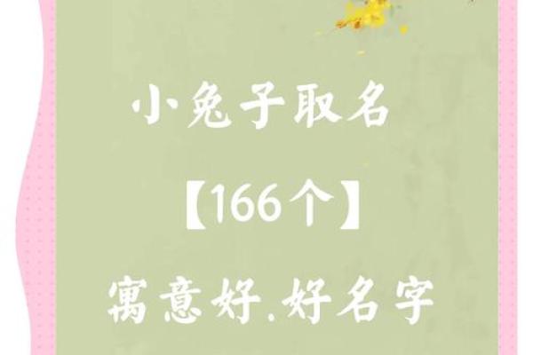 给属兔午时出生的男孩起名推荐的字和名字姓名