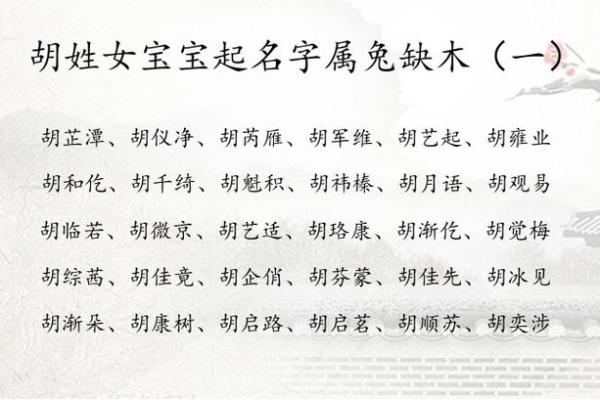 2019年出生的姓胡男孩如何起名，宜用什么字姓名