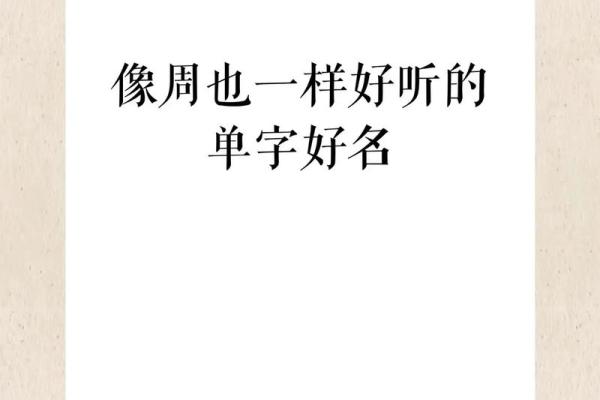 4月份出生的属兔男孩怎样取名字好姓名