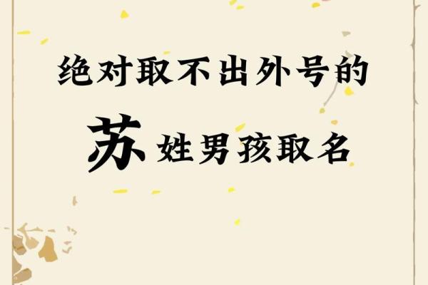 苏姓女孩名字大全-苏姓女孩起名字大全-苏姓名字大全姓名