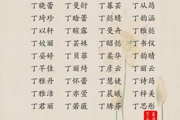 丁姓女孩名字大全-丁姓女孩起名字大全-丁姓名字大全姓名 丁姓女孩名字大全-丁姓女孩起名字大全-丁姓名字大全姓名