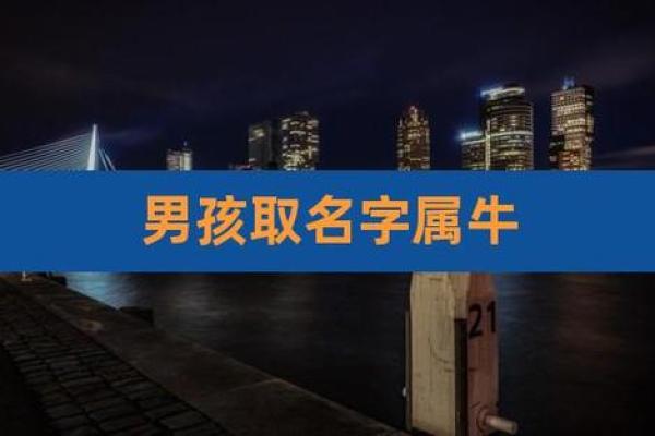 晚上11点出生的属牛男孩要怎么样起名姓名