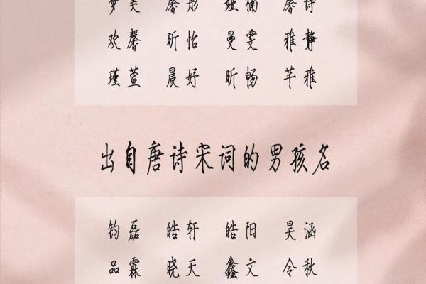 2019年3月20号寅时出生的男孩如何起名姓名