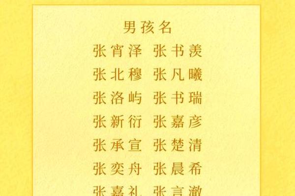 属龙子时出生的男孩要怎么取名-用什么字好-姓名