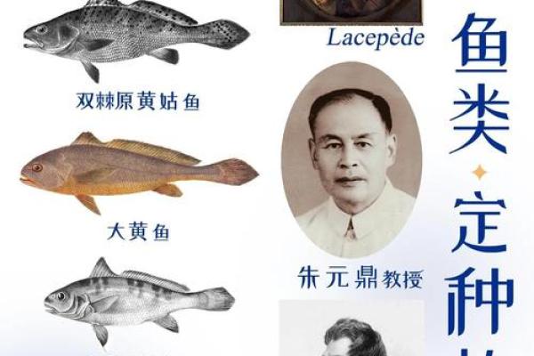 姓鱼的名人-姓名学-华易算命网姓名 姓鱼的名人-姓名学-华易算命网姓名