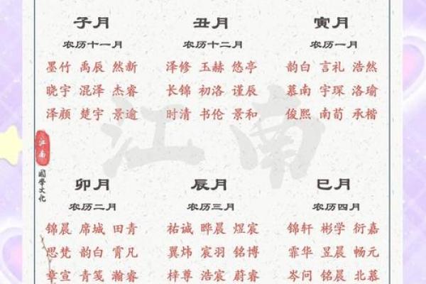 属猴亥时出生的男孩起什么名，宜用什么字姓名