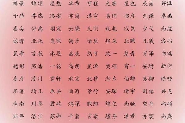 属狗子时出生的男孩该如何起名，宜用哪些字姓名