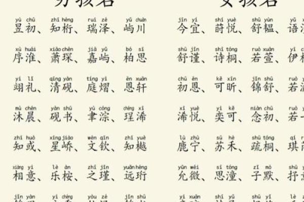 2019年6月16号子时出生的男孩要怎么起名字姓名