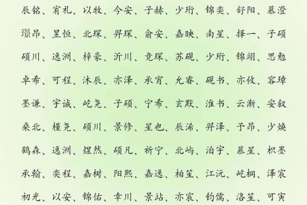 2019年3月26号寅时出生的男孩要怎么起名字姓名