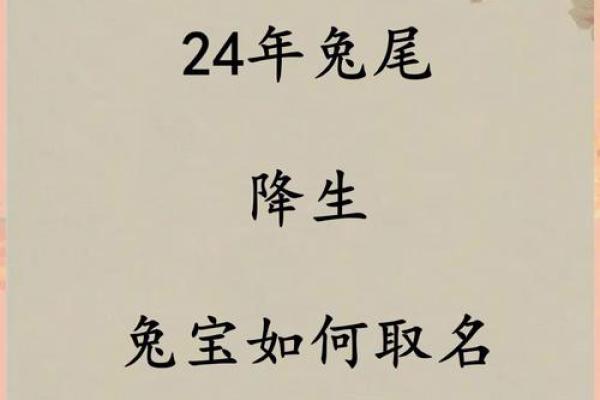 12月份出生的属兔男孩取哪些名字好姓名