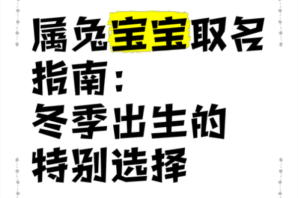 12月份出生的属兔男孩取哪些名字好姓名