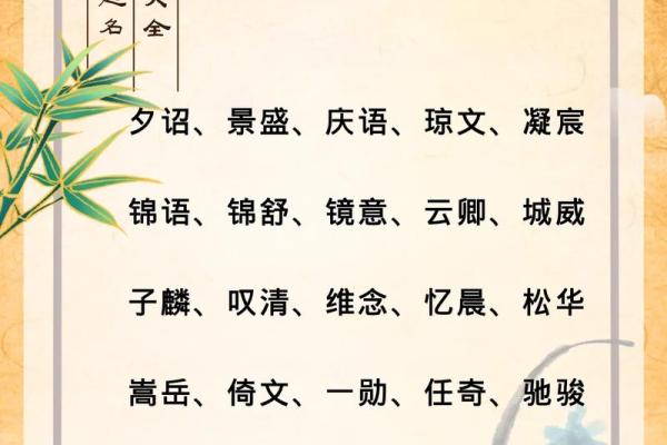 2019年6月11号卯时出生的男孩起名方法姓名