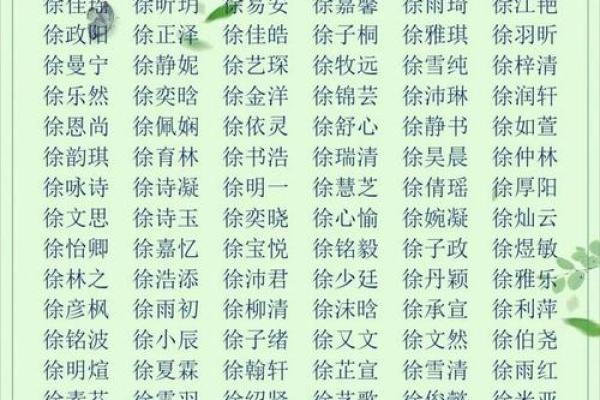 2019年3月18号未时出生的男孩如何起名姓名