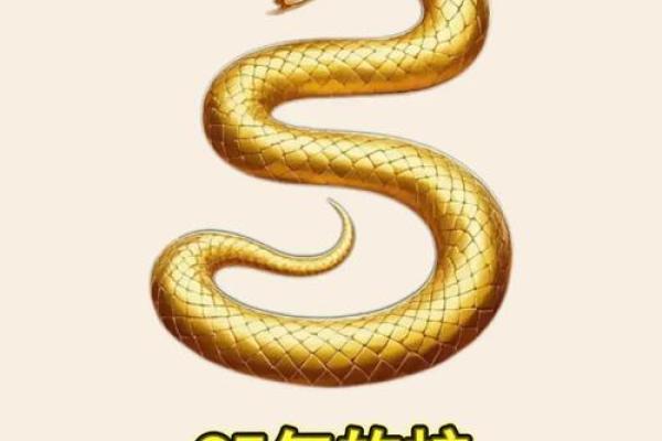 属蛇午时出生的男孩要怎么起名，适合哪些字姓名